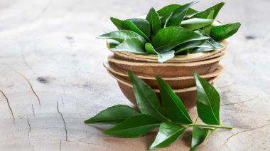 garnishing-instructions-image